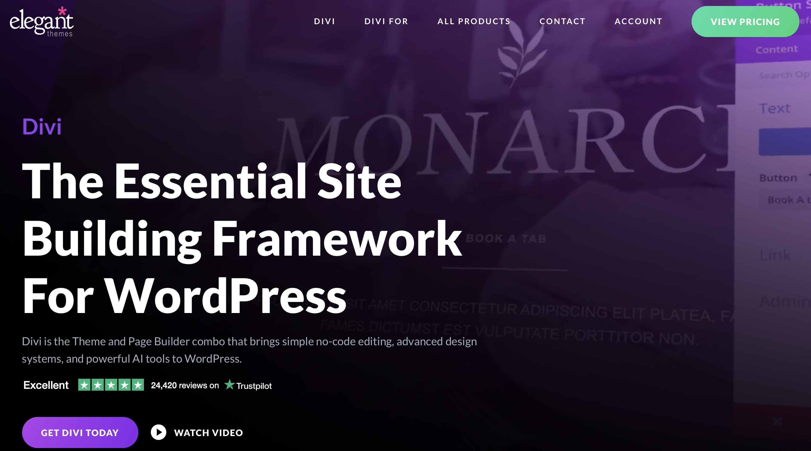 WordPress-Template Divi von Elegant Themes Bild: WordPress-Template Divi von Elegant Themes