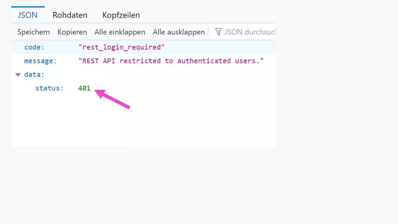 Bild: WordPress REST-API: Zugriff per Plug-in verhindert